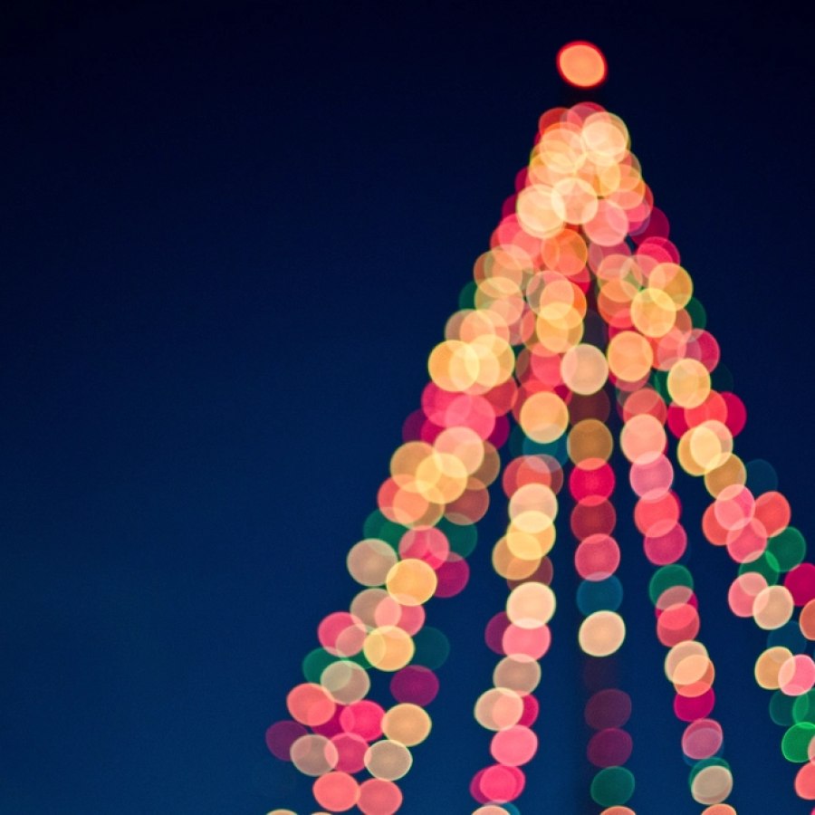 Multicolor Fairy Lights